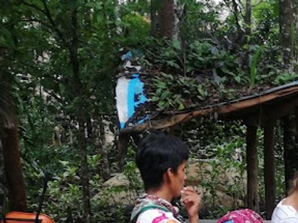 Ayahuasca Retreats in Costa Rica